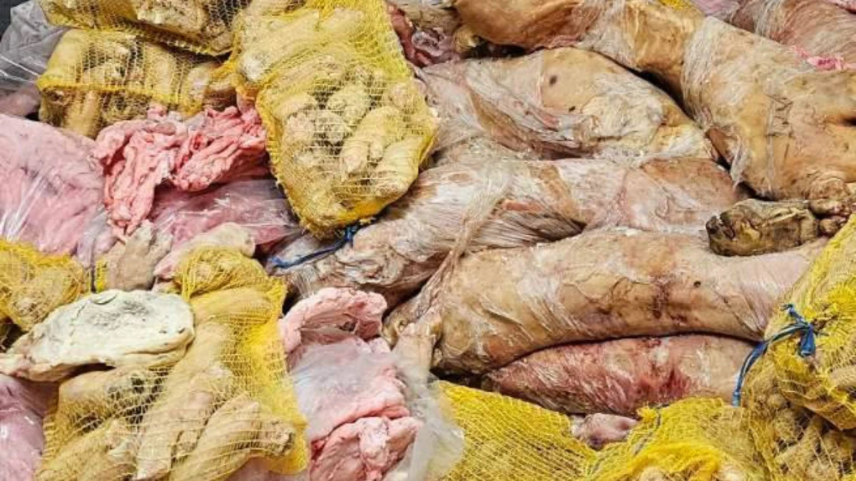 Шокиращи разкрития: Мизерия и тонове опасни меса в пловдивски цех