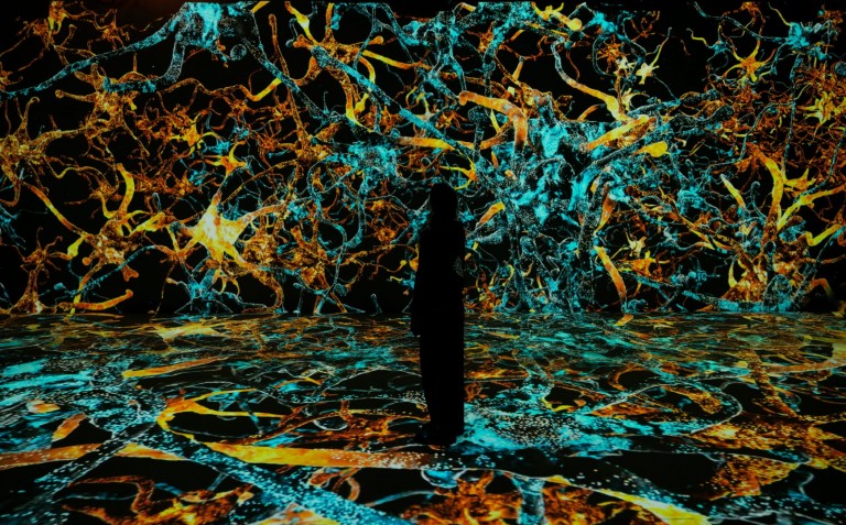 Digital Art Exploration