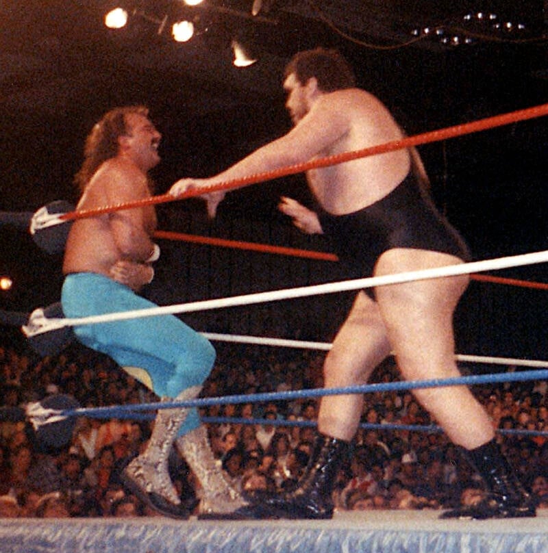 Jake The Snake Roberts