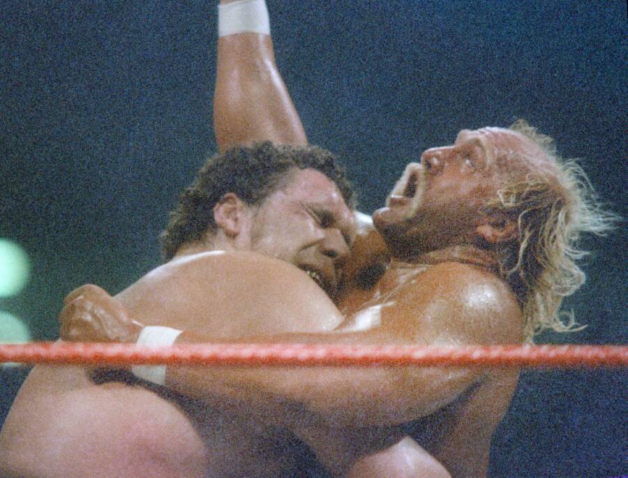 Hulk Hogan
