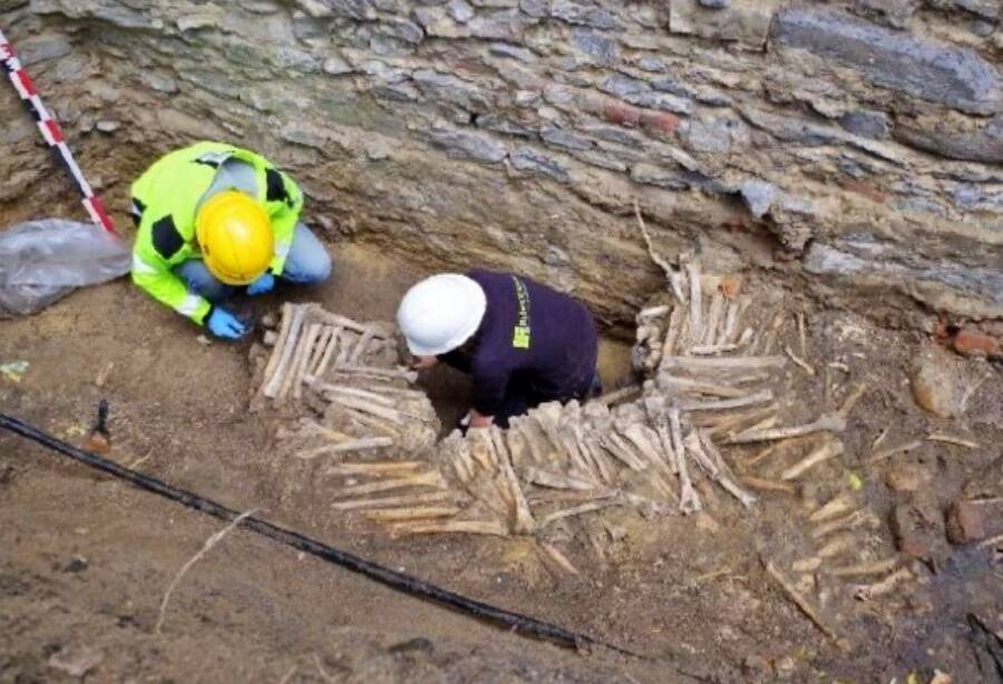 Bone Wall At Saint Bavos