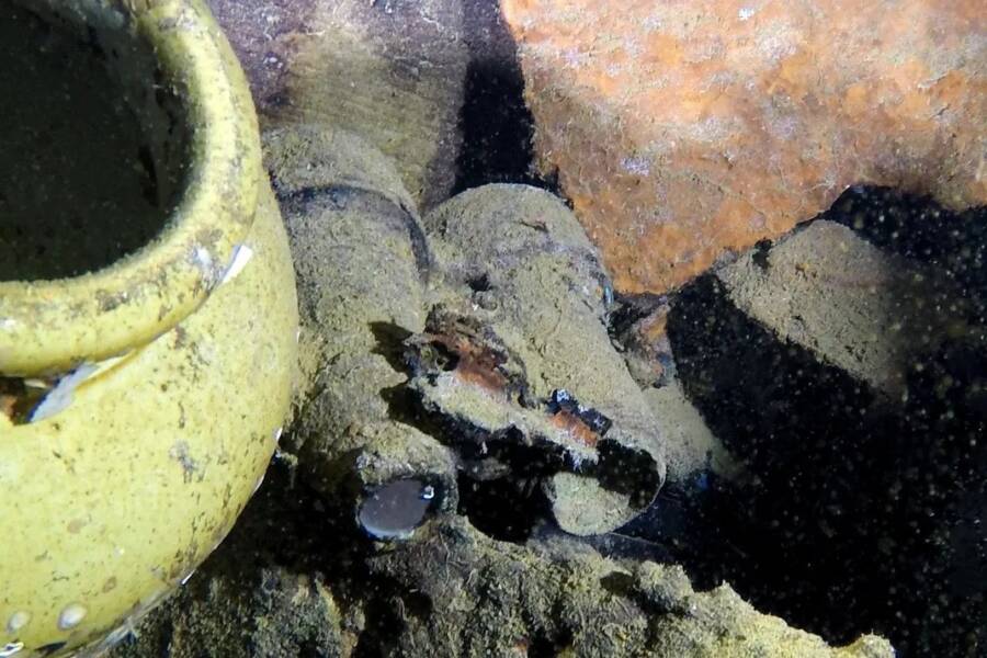 Britannic Binoculars
