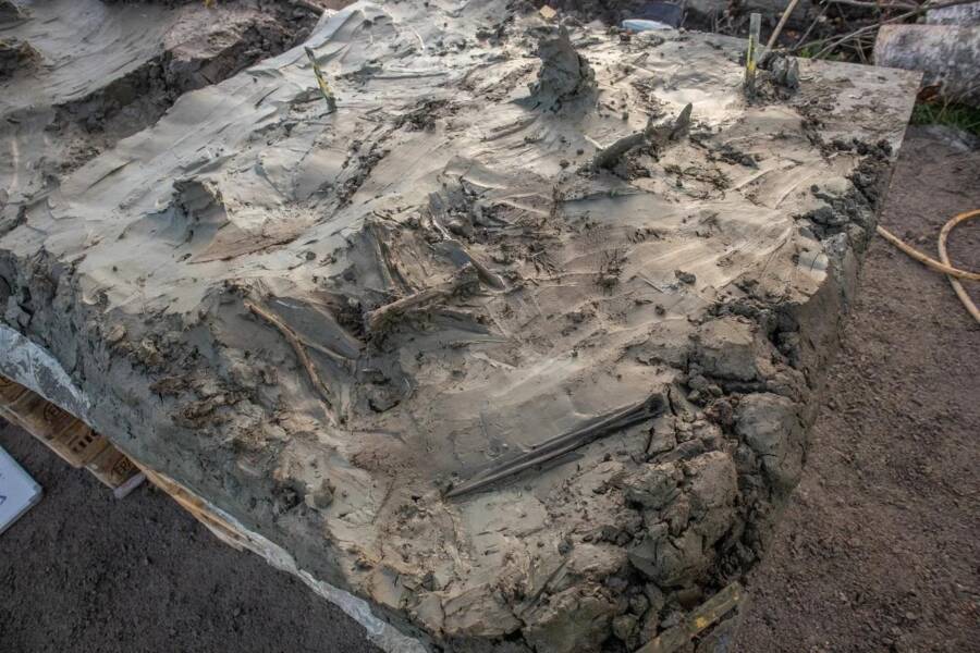 Gerstaberg Sweden Stone Age Dog Burial