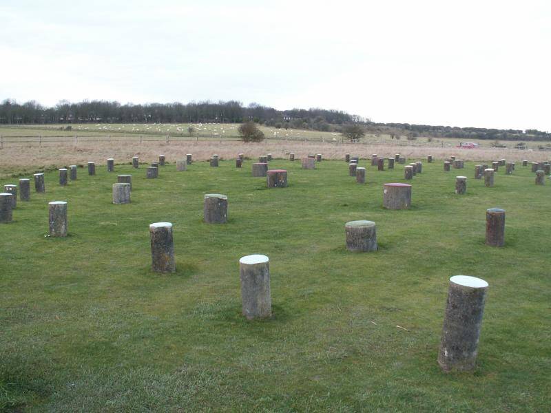 English Woodhenge