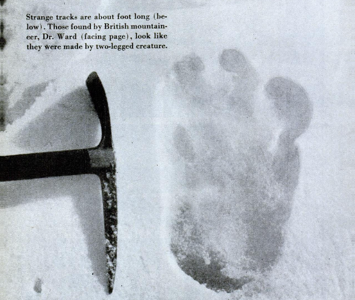 Yeti Snow Tracks