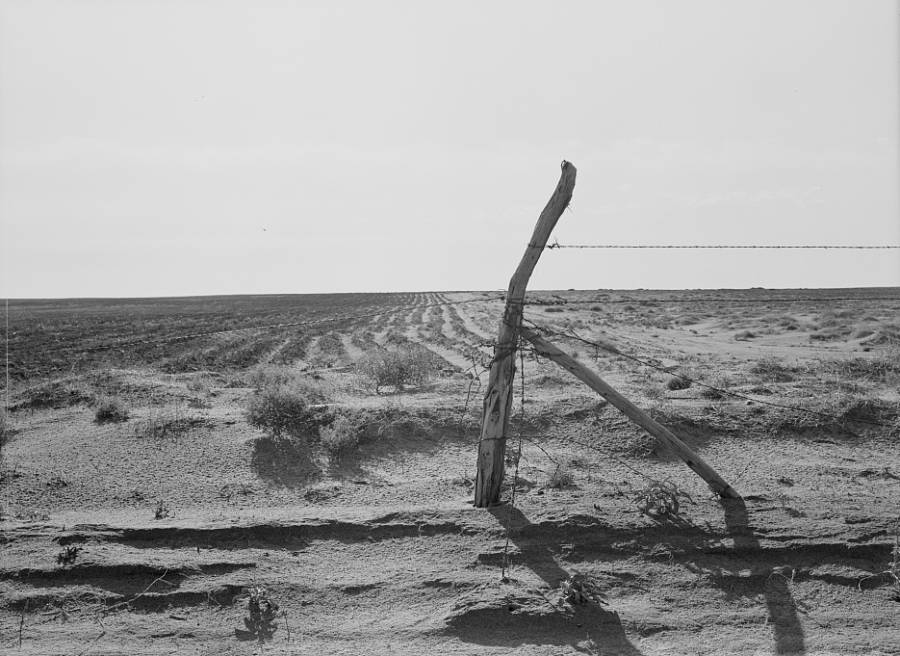 Fence Post