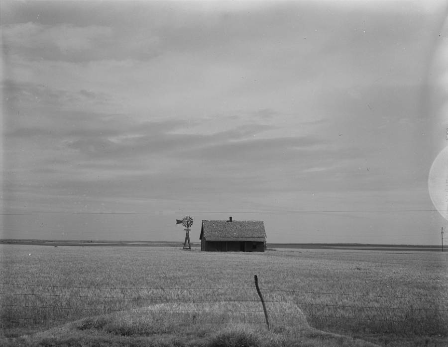 House In Field