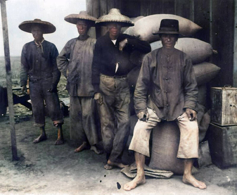 Immigrant Labor