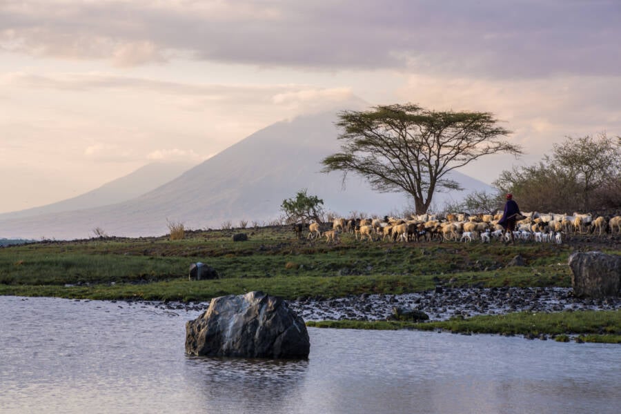 Lake Natron