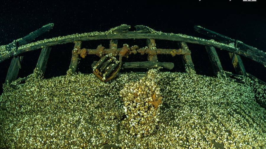Lake Ontario 19th-Century Shipwreck