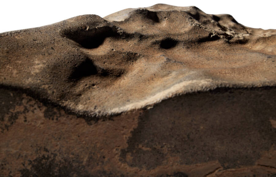 Largest Martian Meteorite