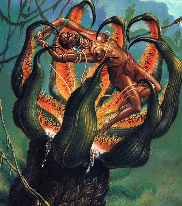 Madagascan Man Eating Tree