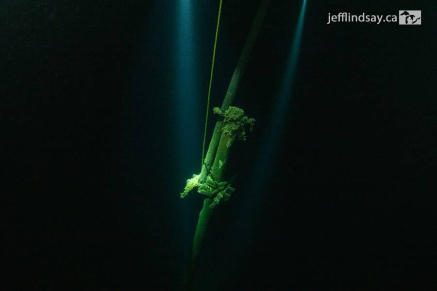 Mast On Unknown Wreck