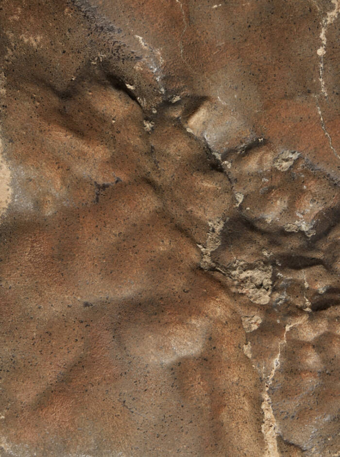 Meteorite Texture