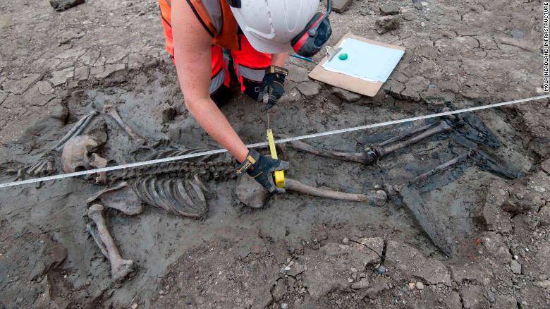 Mola Skeleton Thames