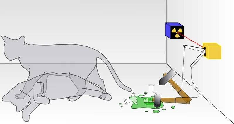 Schrodingers Cat