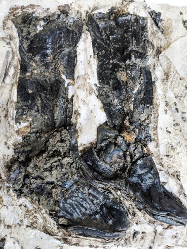 500-Year-Old Leather Boots