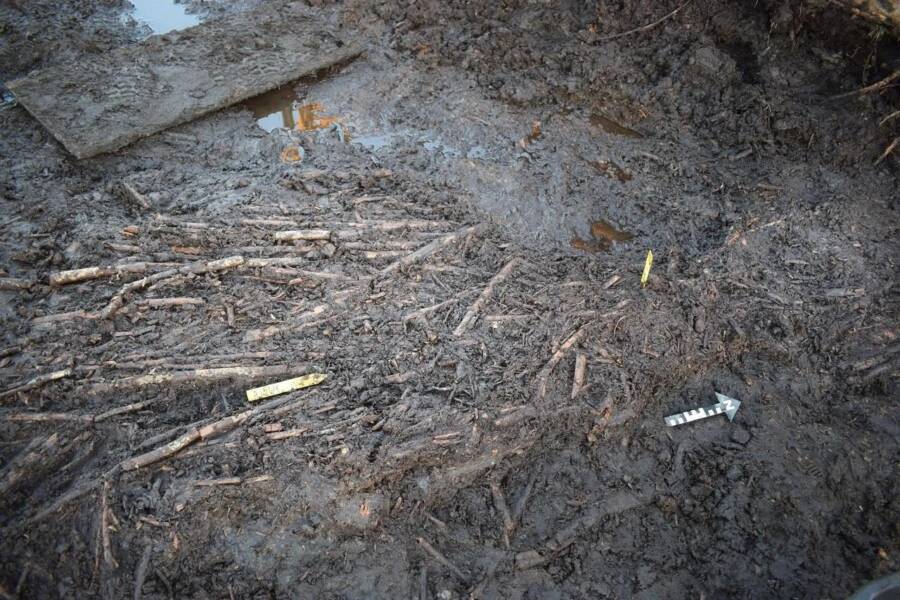 Stone Age Fish Trap