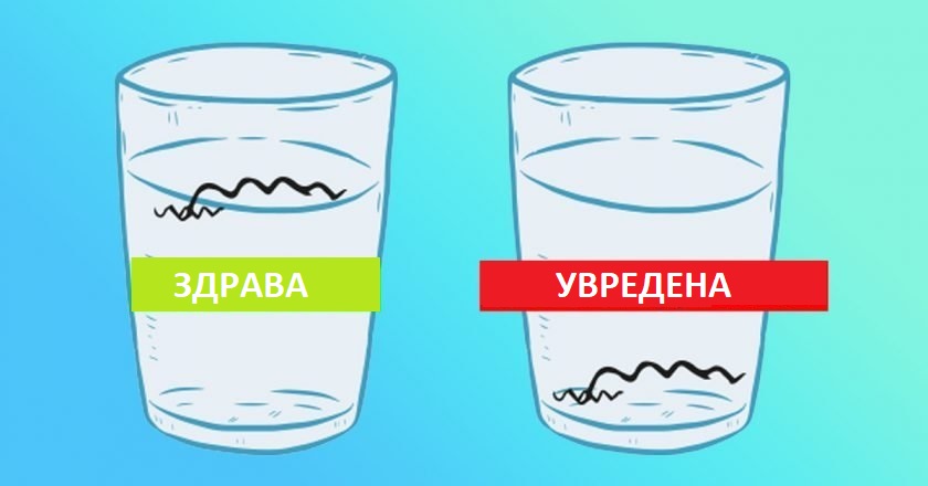 Тест за състоянието на косата