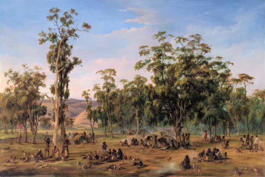 When Did Humans Arrive In Australia