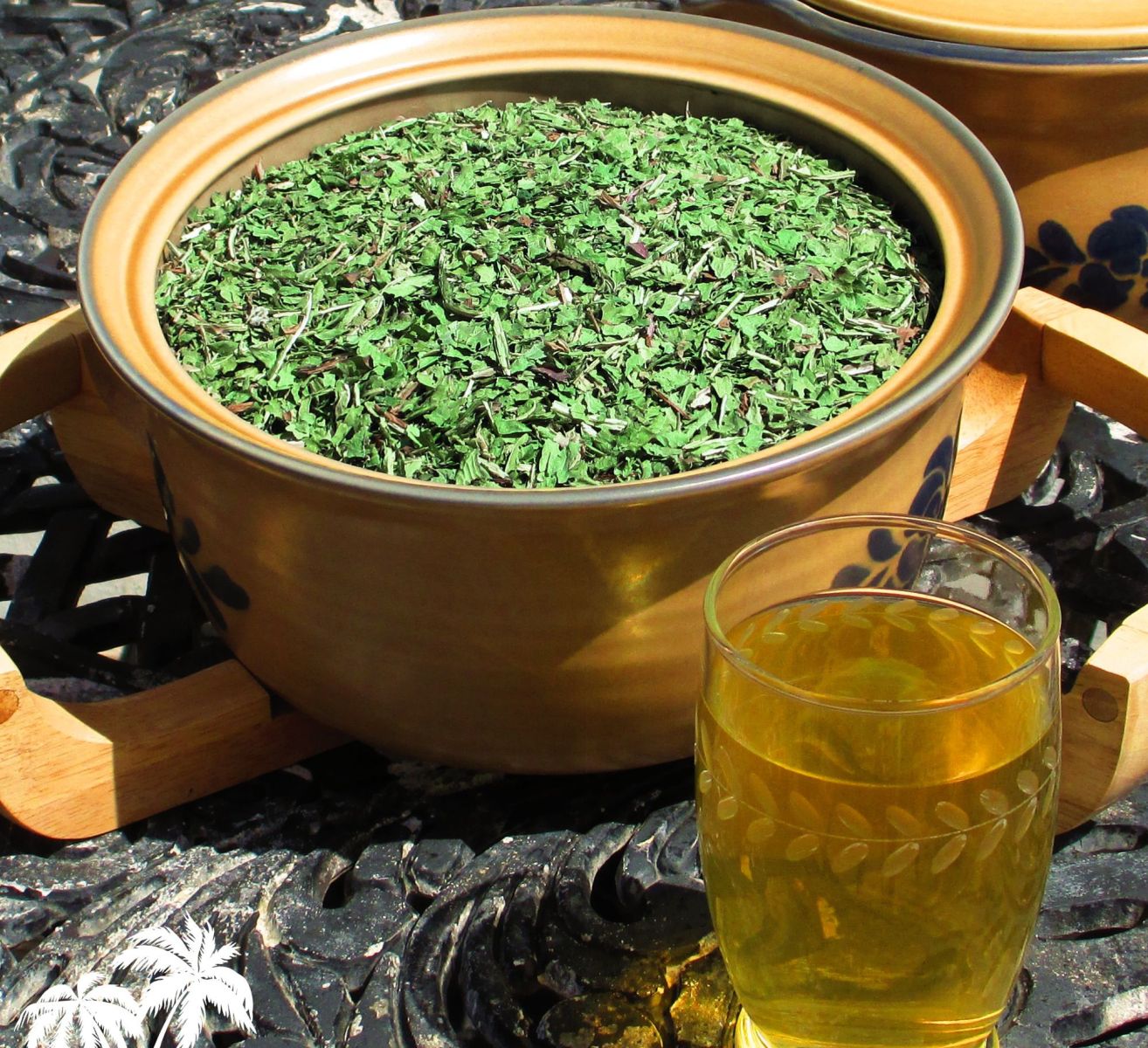 wild lettuce tea