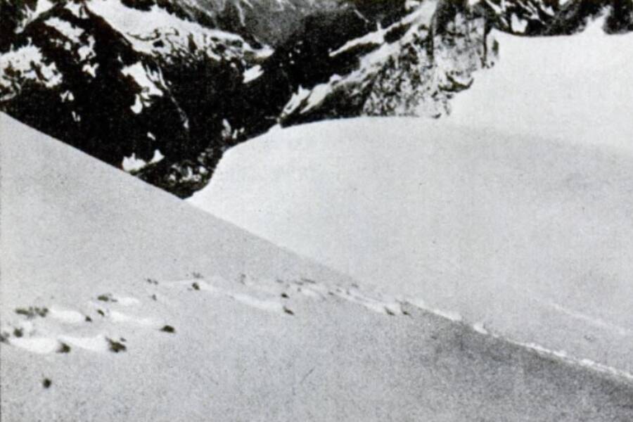 Yeti Sightings