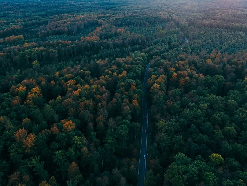 Black Forest, Germany