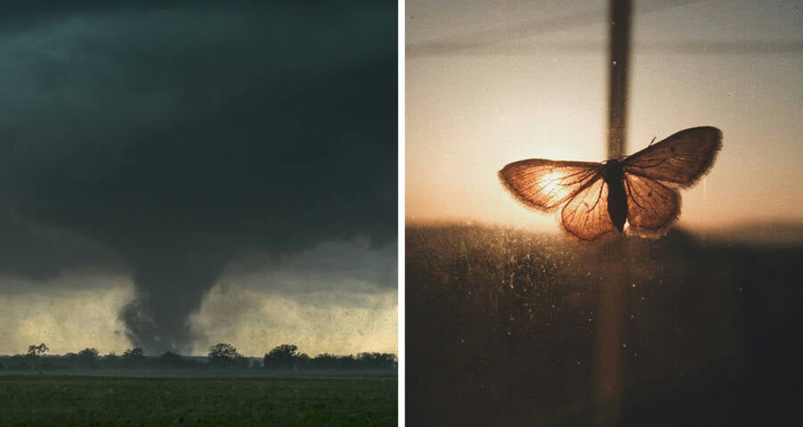 The Butterfly People Of Joplin
