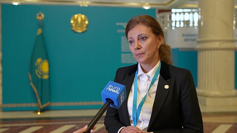 Международни наблюдатели