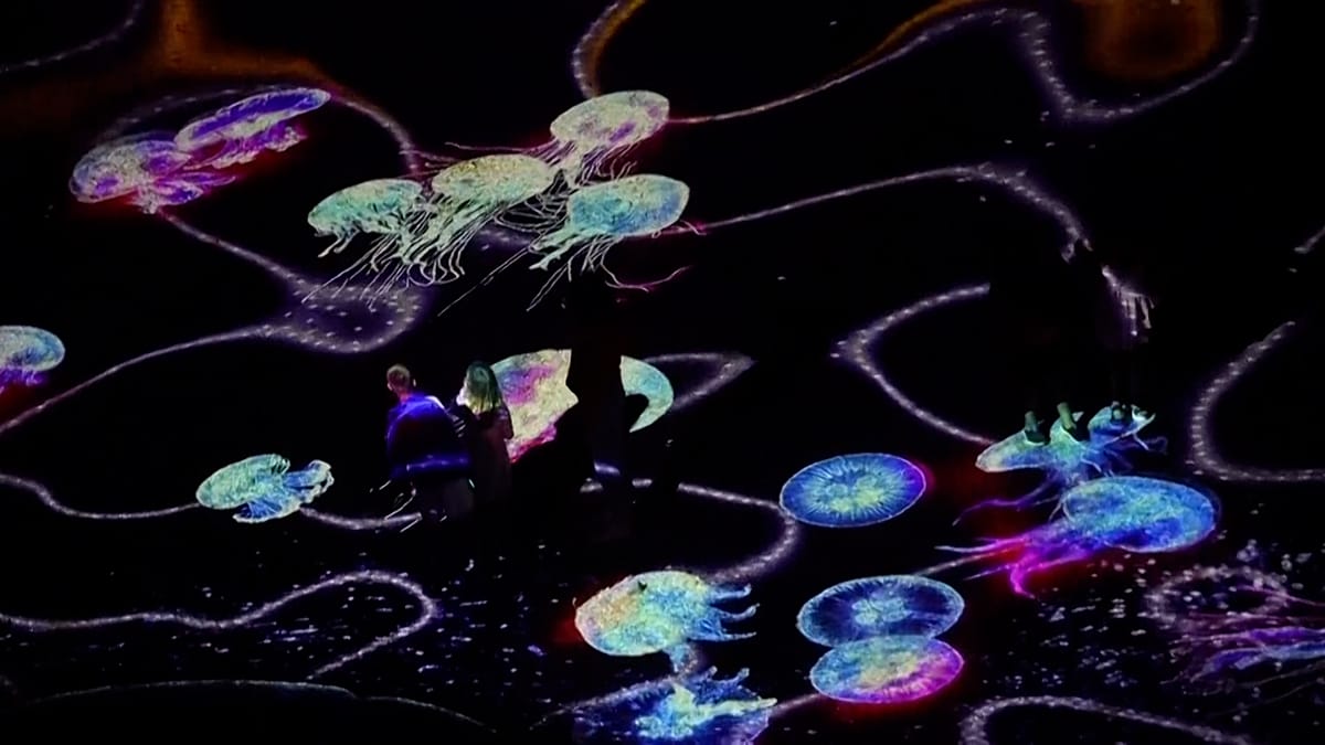 Светлинна магия по Черноморието: Как дигиталното изкуство преобрази българския бряг