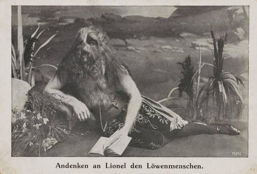 Stephan Bibrowski Postcard