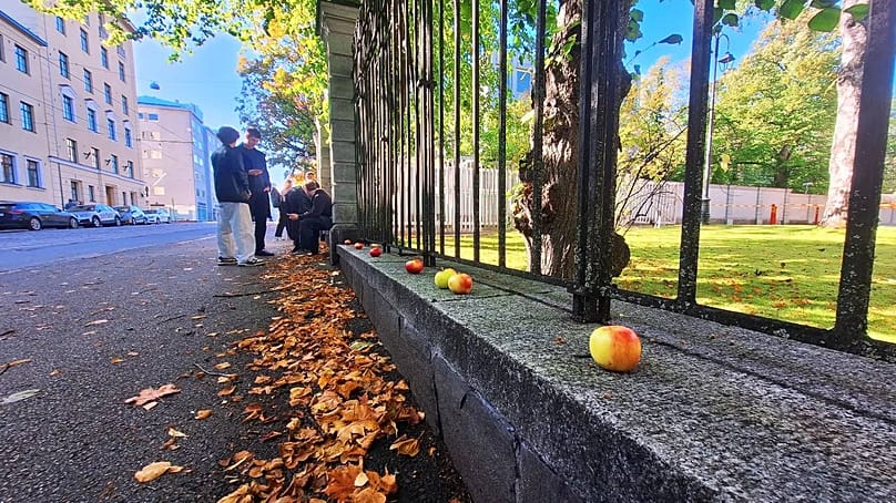 Гласоподаватели с ябълки