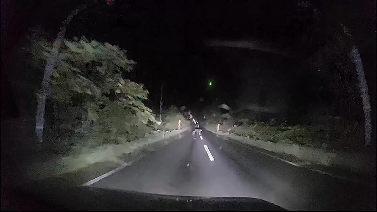 НЕВЕРОЯТНО ВИДЕО: Мечка-майка блъска кола в Япония, предизвиквайки напрежение по пътищата