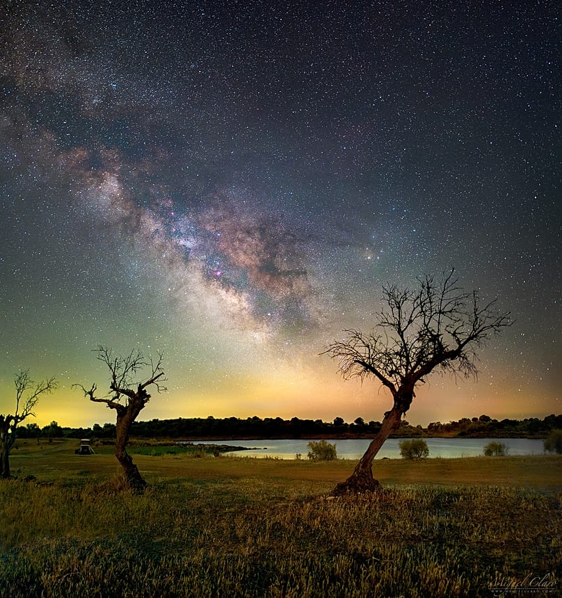 Heart of the Milky Way embracing the trees in the fields of Dark Sky Alqueva