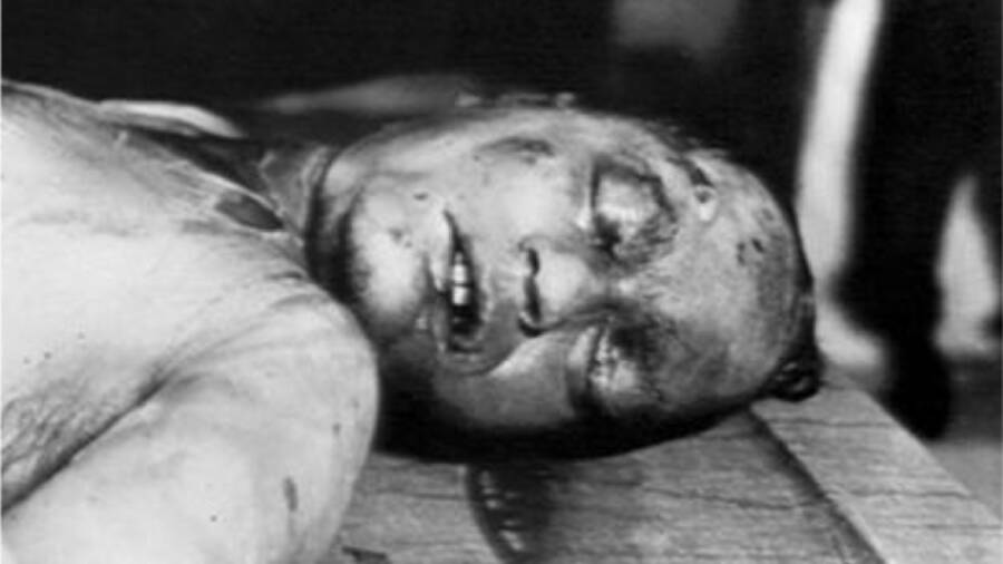 Michael Malloys Body